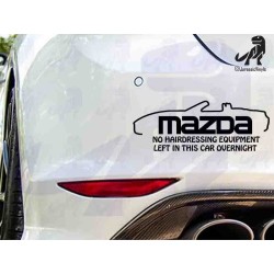 Mazda No Hairdressing Equipment