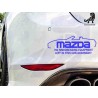 Mazda No Hairdressing Equipment