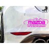 Mazda No Hairdressing Equipment