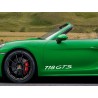 Porsche 718 GTS 2x Door Stickers