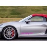 Porsche 718 Spyder 2x Door Stickers