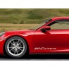 Porsche 911 Carrera x2 Door Stickers