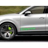 Porsche Cayenne 2x Door Stickers