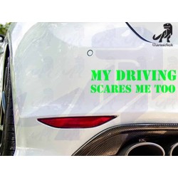 My Driving Scares Me To